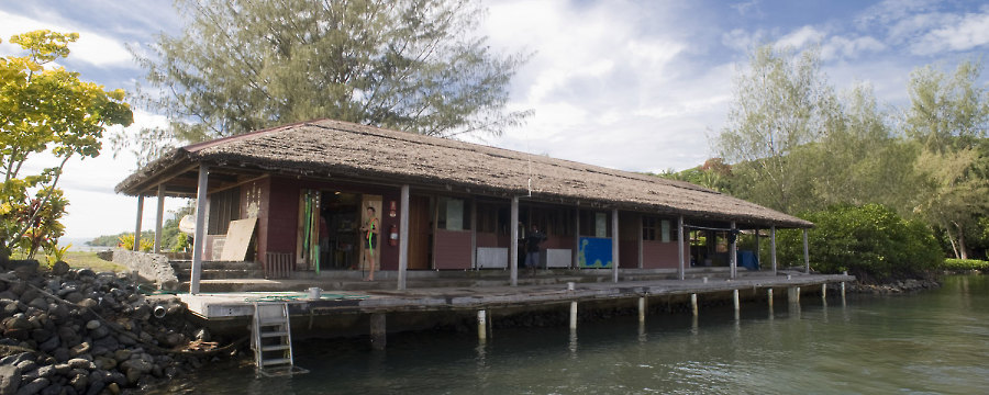 Walindi Dive Resort