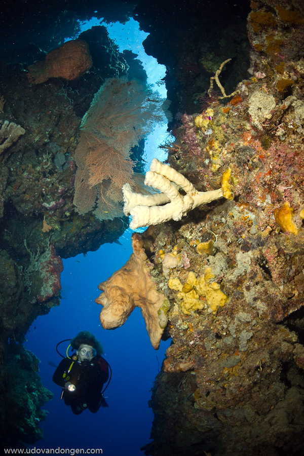 Werner Lau Diving Centers Matahari