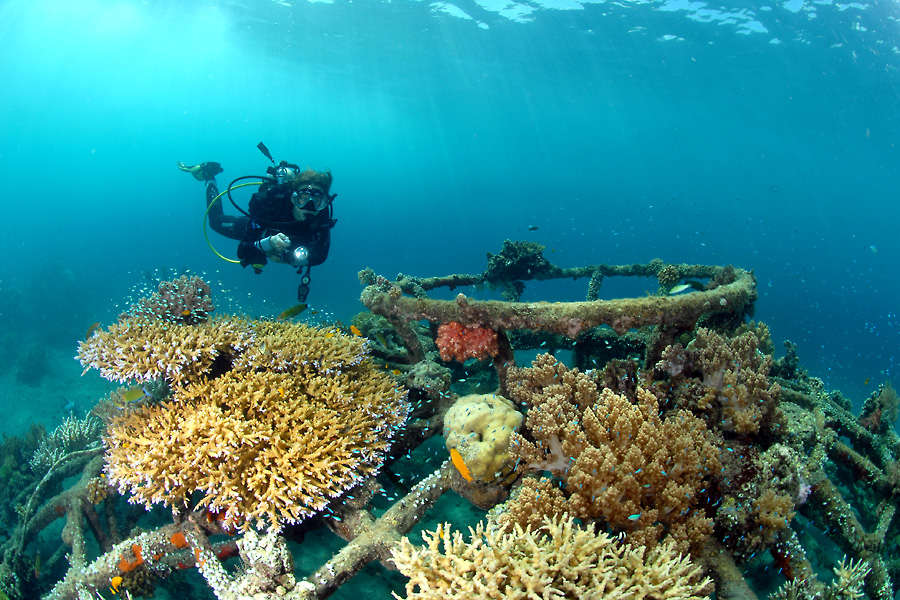 Werner Lau Diving Centers Pondok Sari