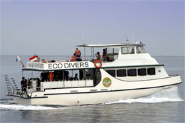 Eco Divers Manado