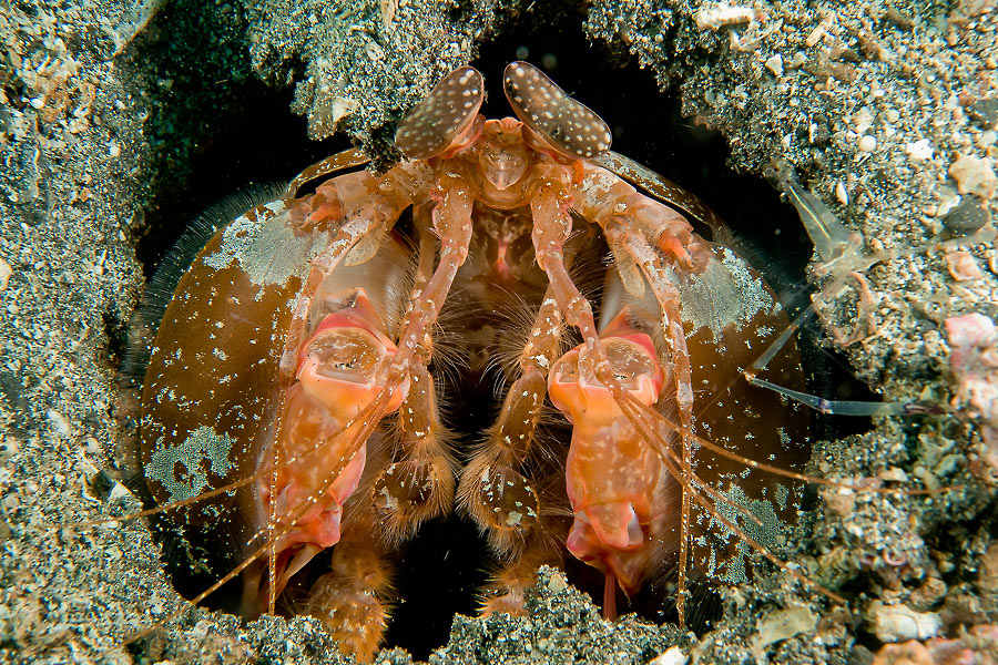 Thalassa Dive Center