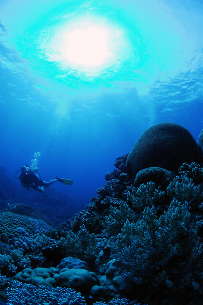 Layang Layang Dive Center