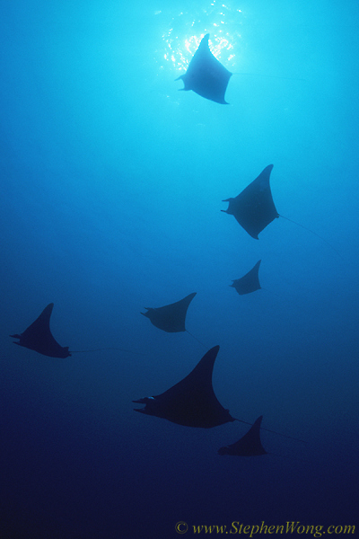 Layang Layang Dive Center