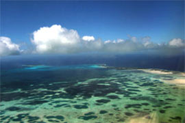 Cocos Dive