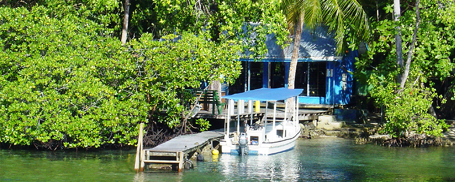 Uepi Dive Resort