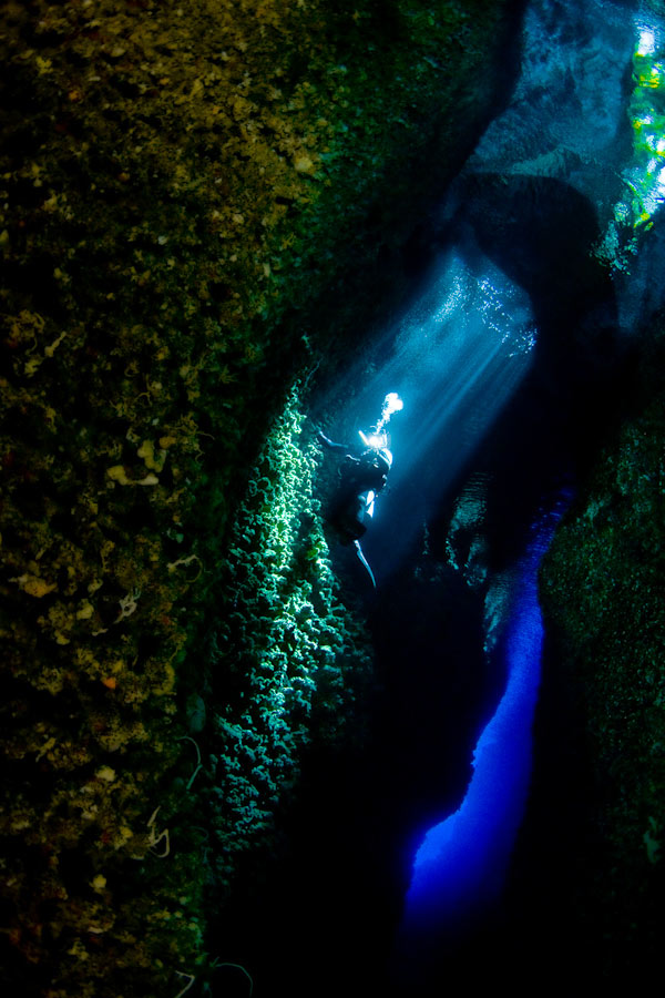 Uepi Dive Resort