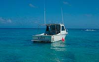 Ocean Blue Adventures