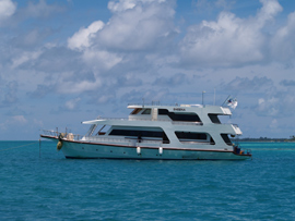 Werner Lau Medhufushi
