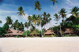 Sea Explorers Alona Beach