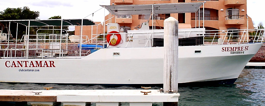 Baja Diving & Service