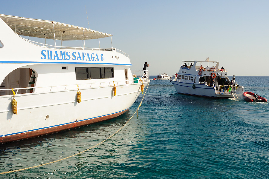 Wadi Gimal Diving Center