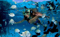 Yucatek Divers