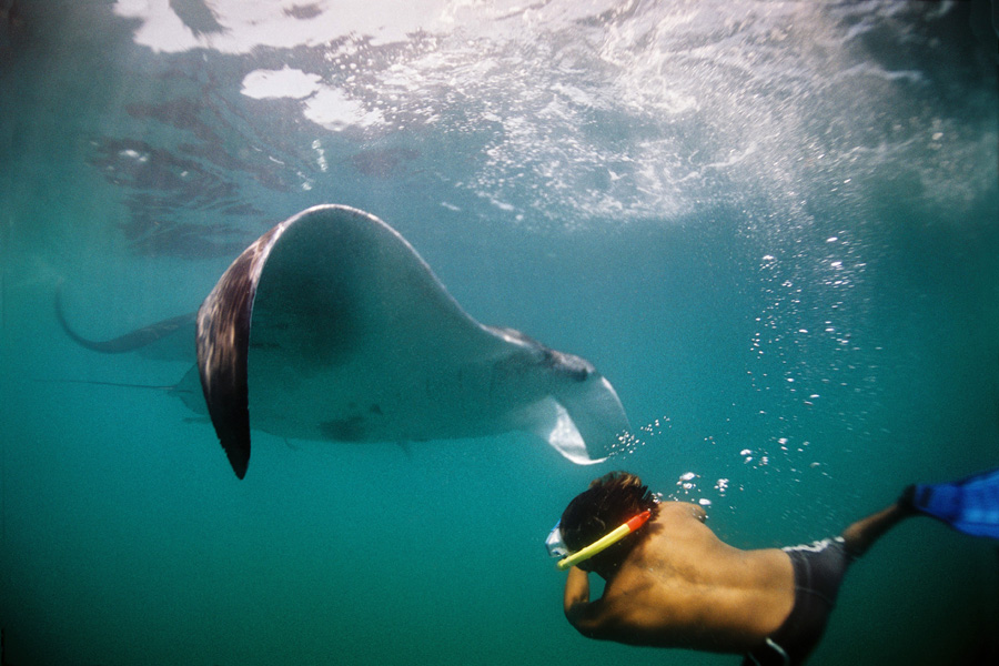 Yucatek Divers