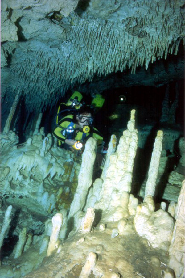 Yucatek Divers