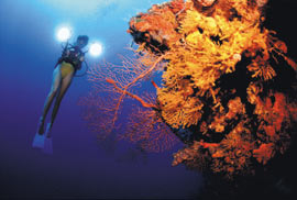 Diveshop im Anthony´s Key Resort