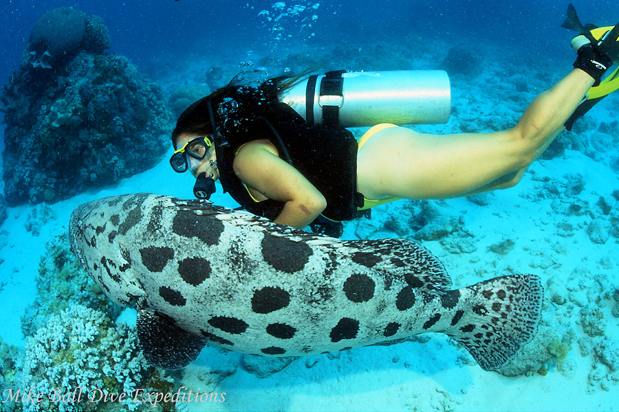 © Mike Ball Expeditions