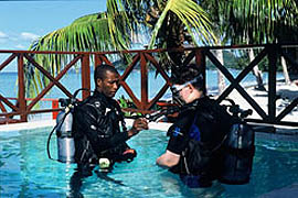 Whitetip Divers