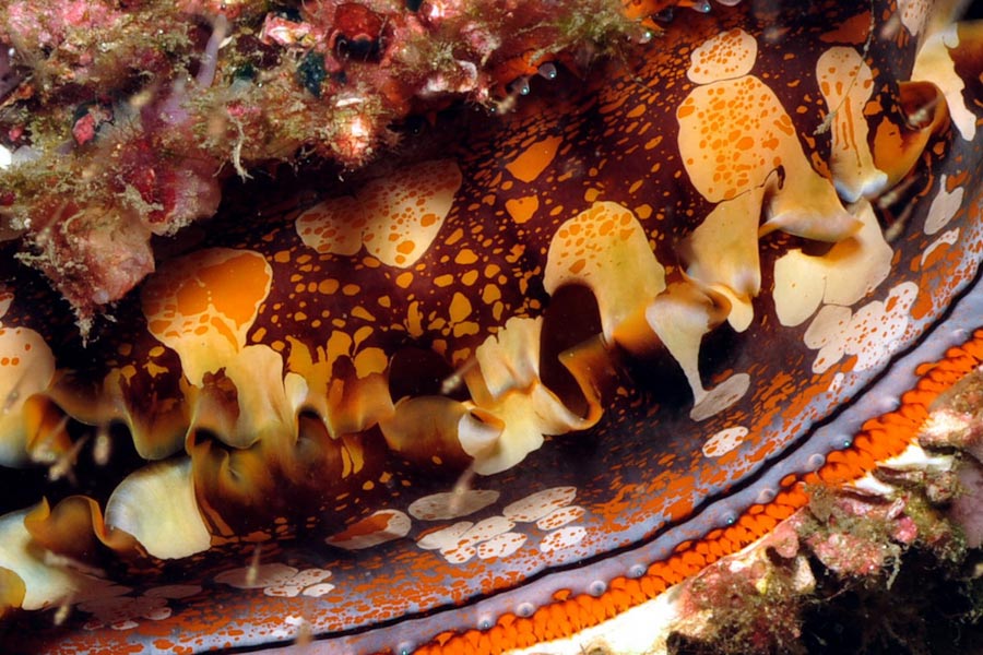 Water Worx Dive Center Bali