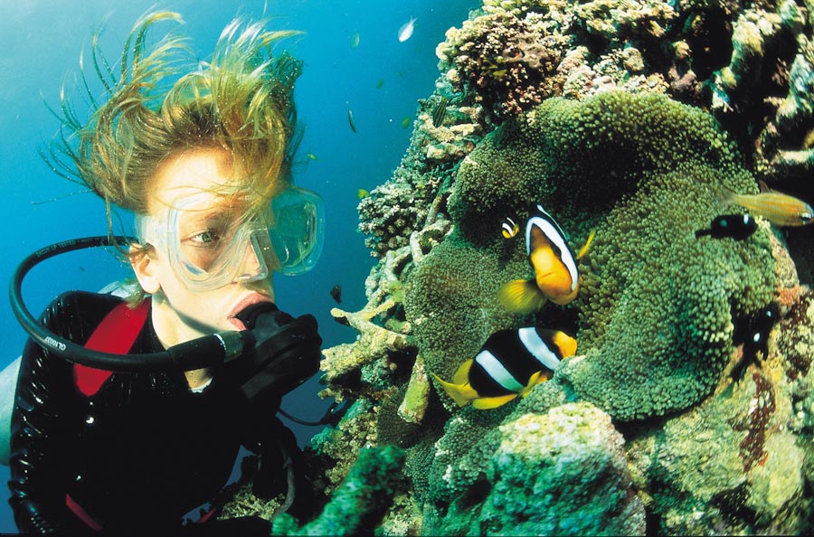 Aore Island Dive