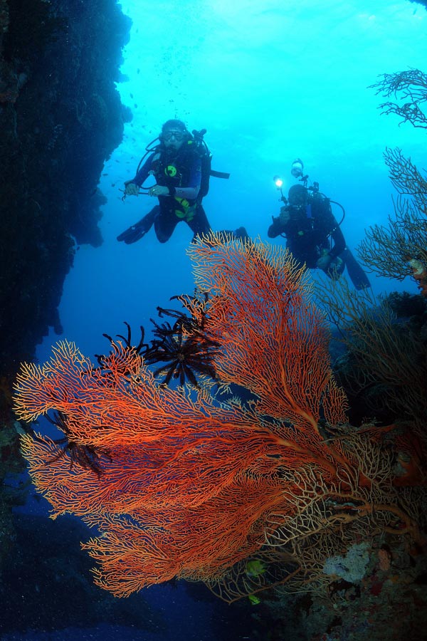 Wananavu Dive Center