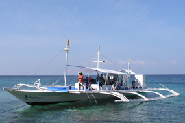 Dive Point Alcoy