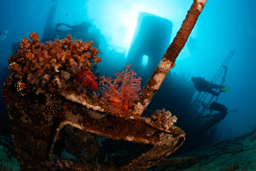 Dive Connection El Gouna