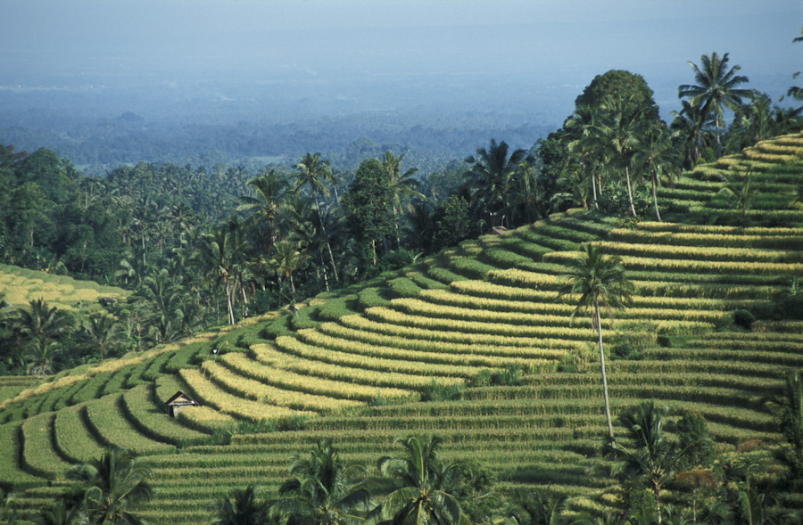 Bali Rundreise