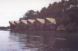 Reisterrassen von Banaue