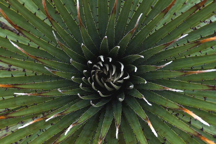 Landprogramme Ecuador