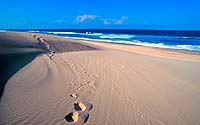 Sodwana Bay & Mozambique