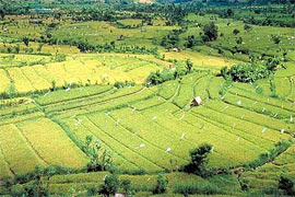 Landtauchsafari Bali