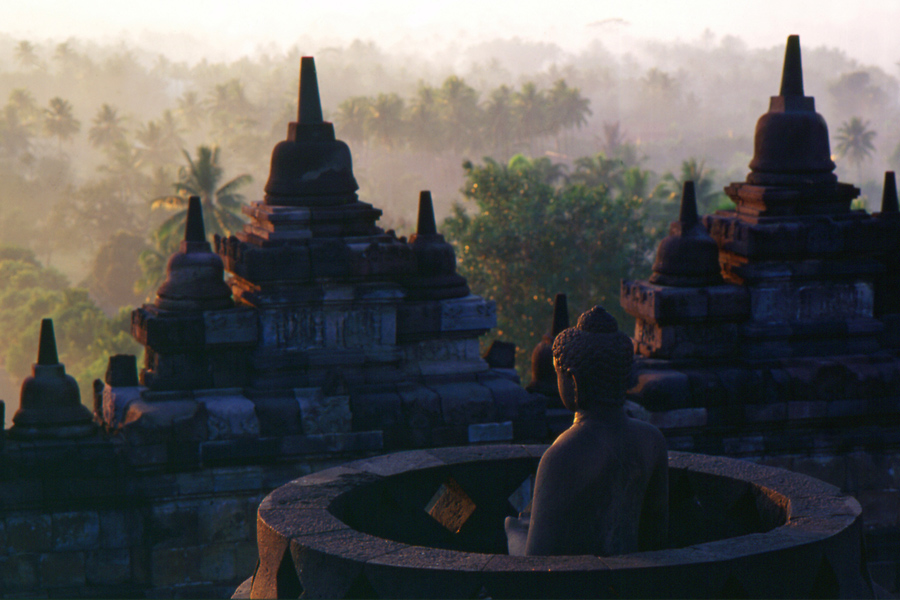 Landtauchsafari Bali