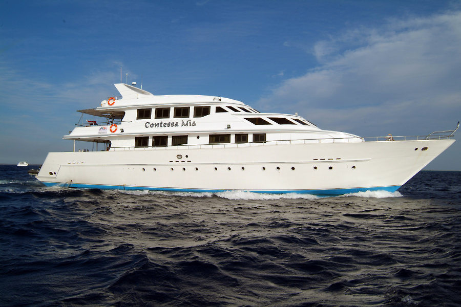 Contessa Mia