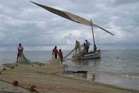Südafrika & Mosambik