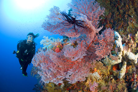 Camiguin & Leyte
