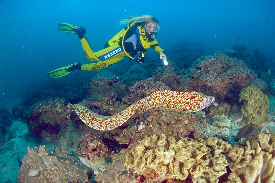 Oman