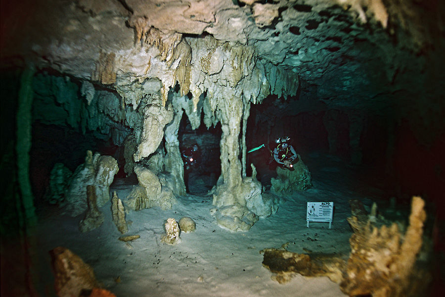 © Yucatec Divers