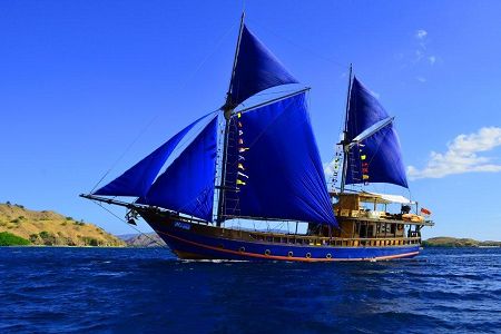 Boot Special - Moana