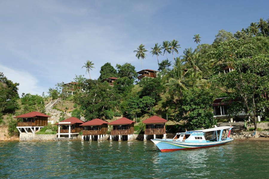 Bastianos Froggies Lembeh Diving Resort