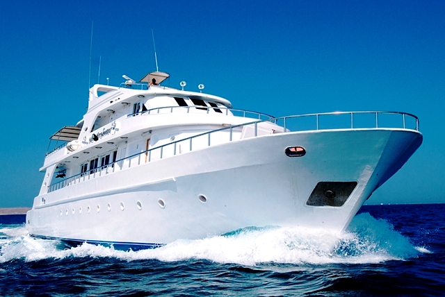 Sea Serpent Glorious Miss Nouran