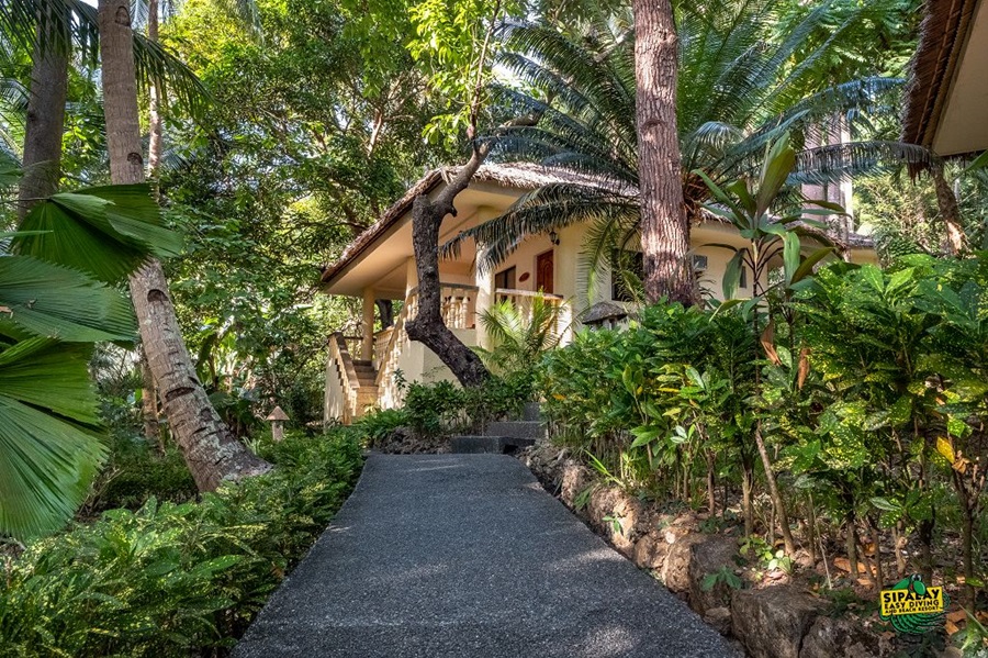 Easy Diving & Beach Resort