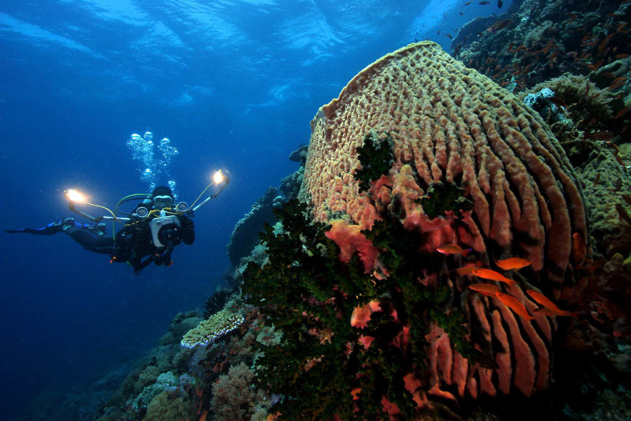 Atlantis Dumaguete