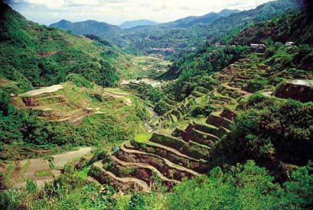 Banaue Reisterrassen - das 8. Weltwunder