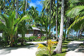InterDive Special - Sipadan Mabul Resort