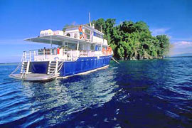 Febrina