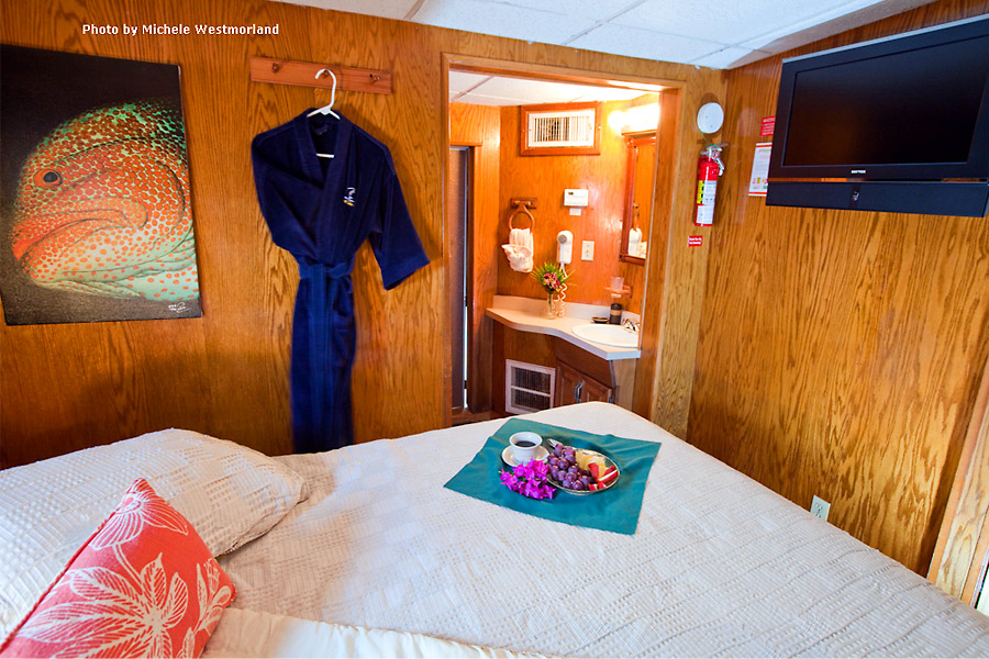 Wind Dancer