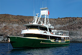 Boot Special Solmar V
