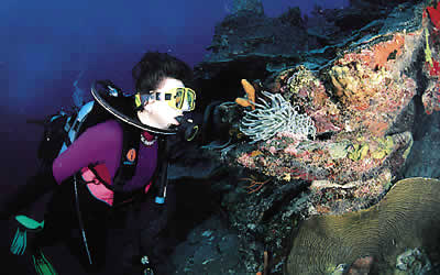Turks & Caicos Aggressor II