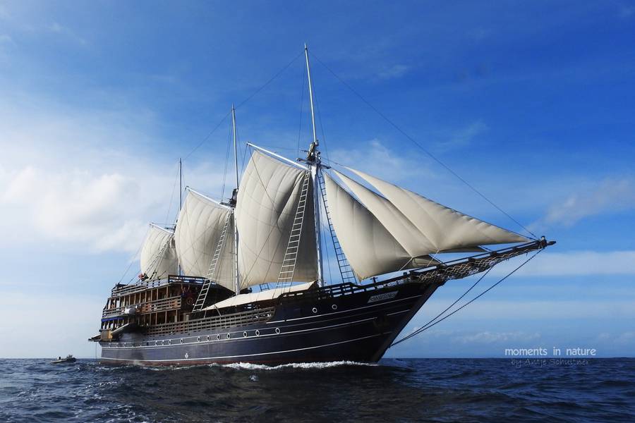 Gruppenreise