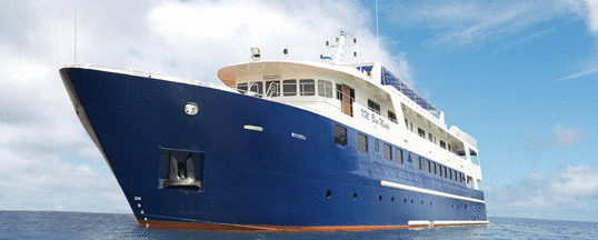 Blue Manta Explorer